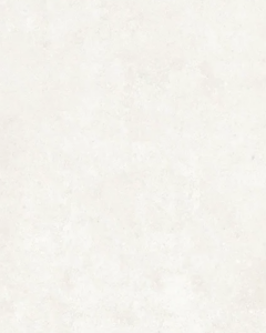 Terracota Blanco 12x36