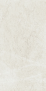Saturn Bone 15x30