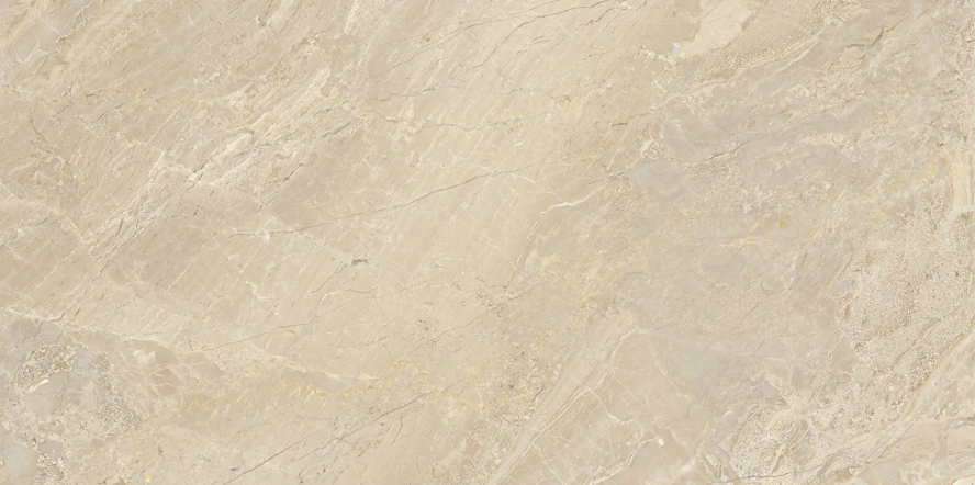 Impero Reale - Marble 12x24 Honed, Polished
