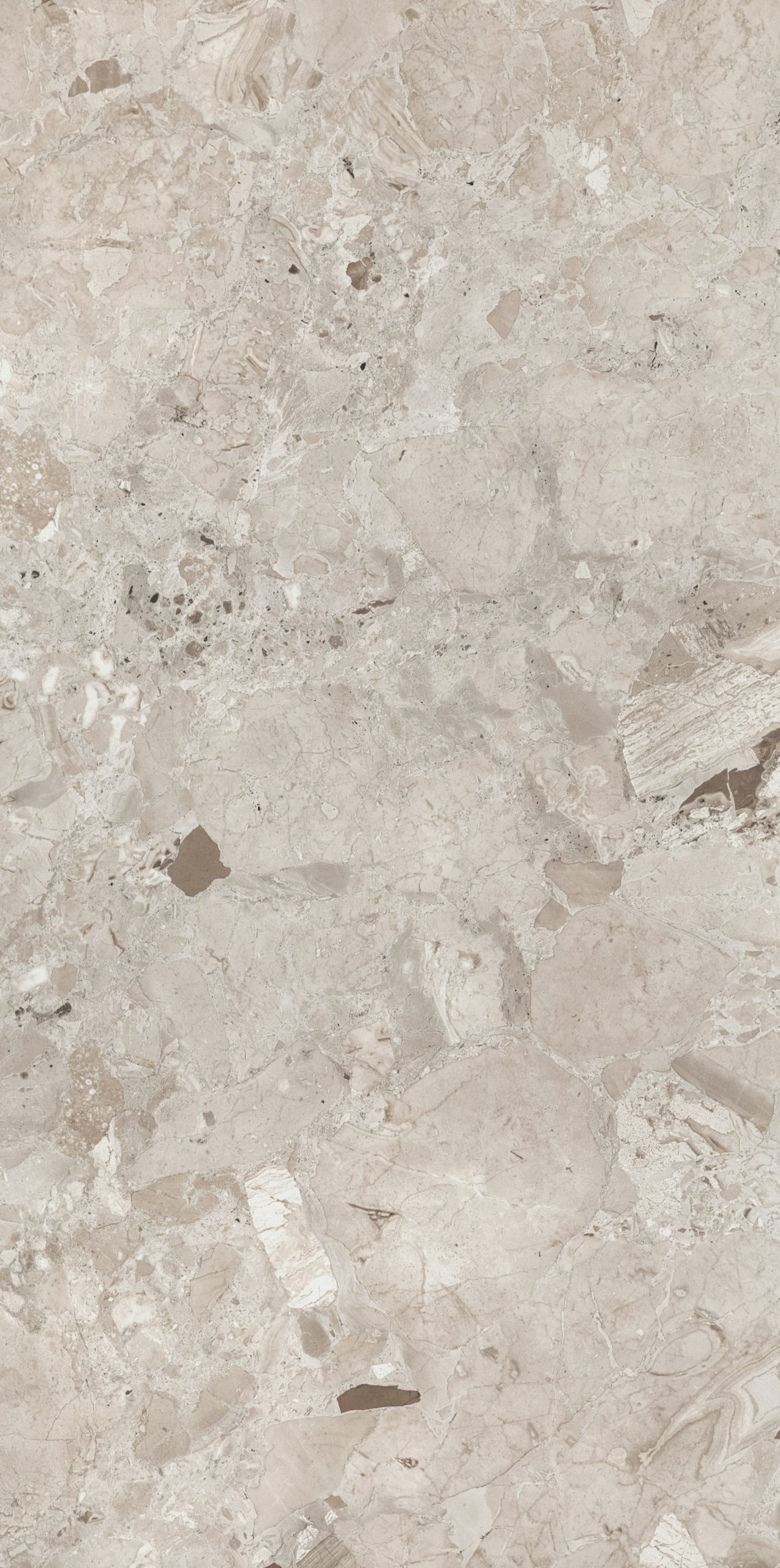 Breccia Mocaccino 24x48